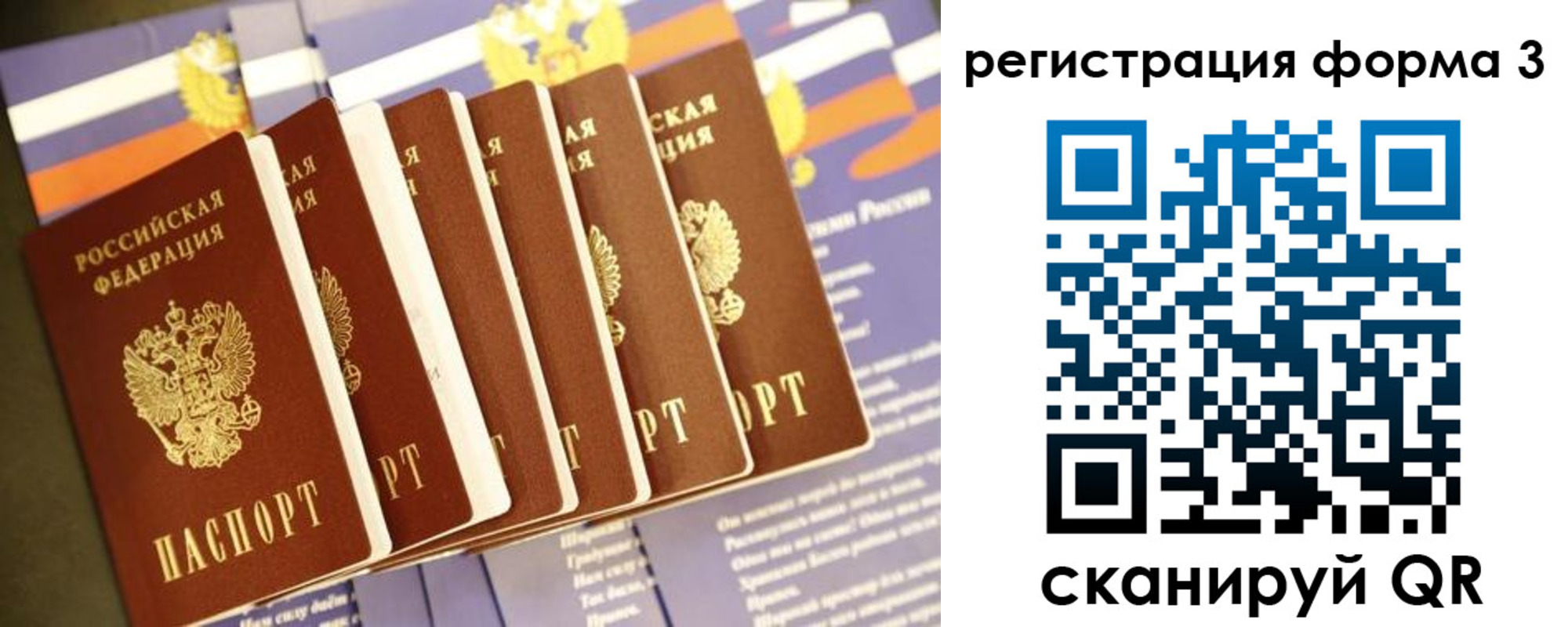 прописка поиск в Калмыкии